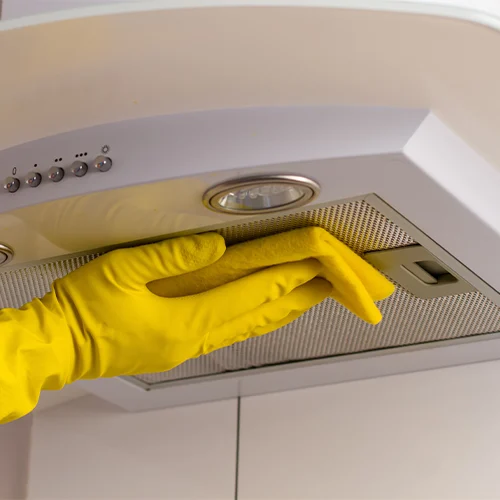 Electric Chimney Repair And Services